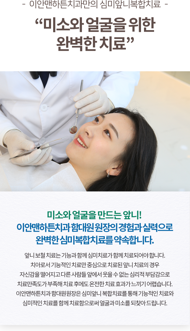 심미치료