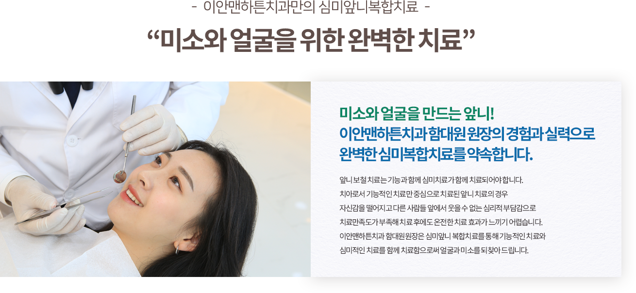 심미치료