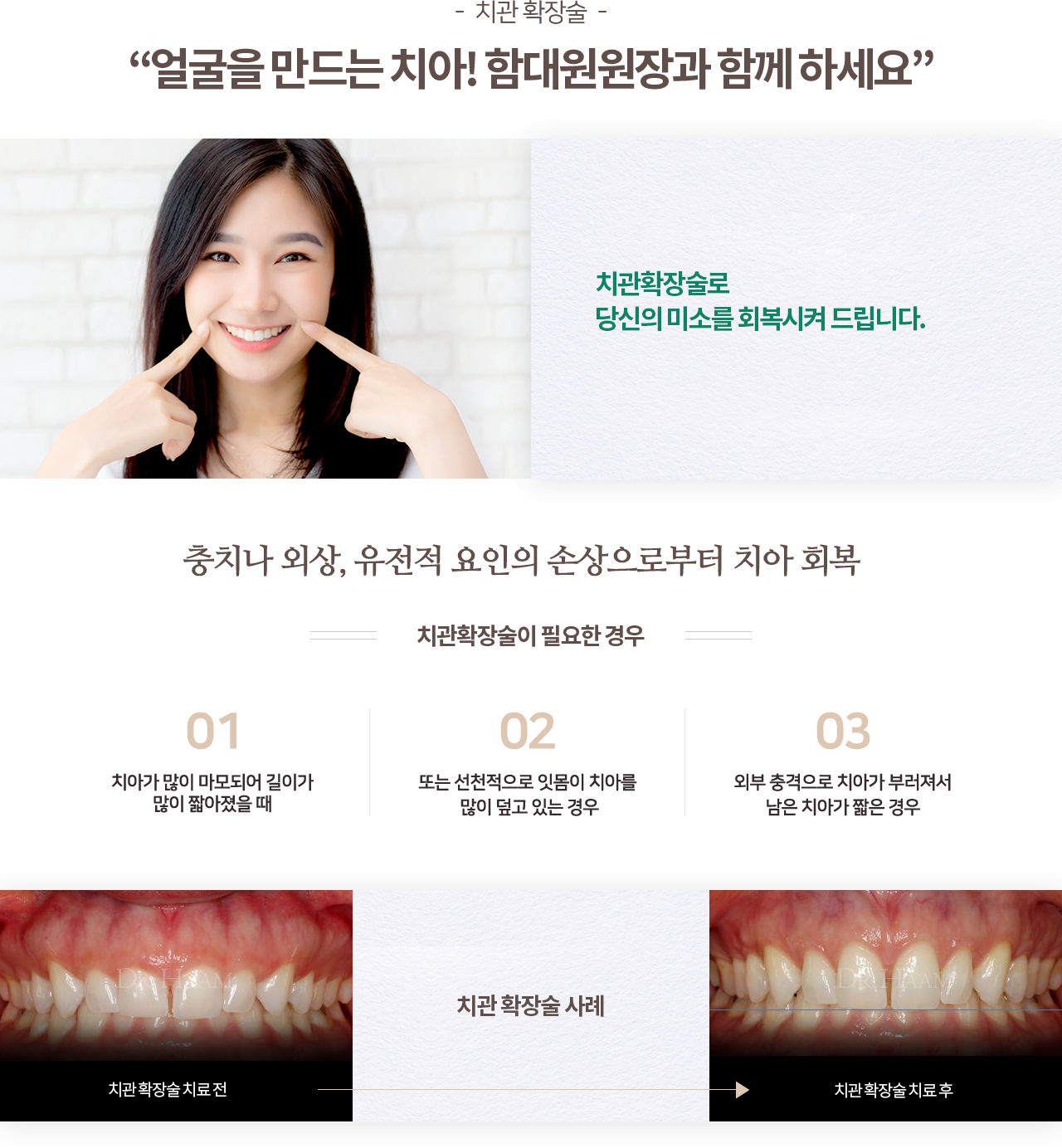 심미치료