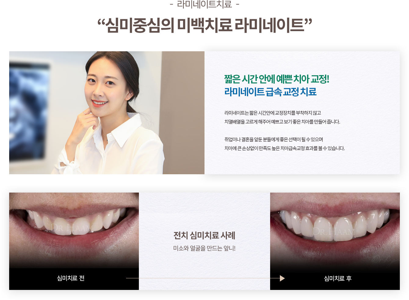 심미치료